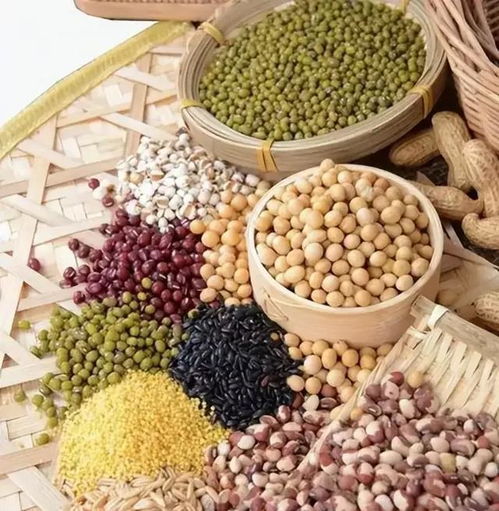 轉基因作物 在食品安全與產量提升的十字路口